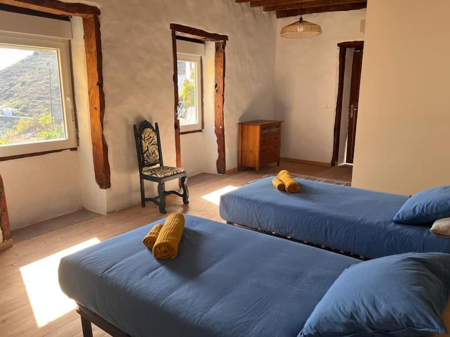 La Casa Del Aguacate Villa Sabinosa Kültér fotó